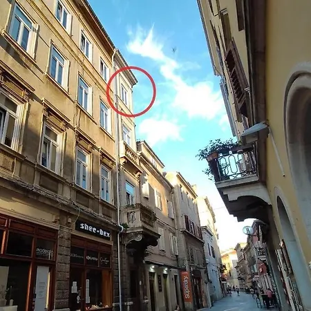 Appartement Loft Bed With Free Parking, 2 Bikes! Self Check In, Wi-fi, Ac *