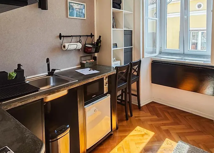 Apartman Loft Bed With Free Parking, 2 Bikes! Self Check In, Wi-fi, Ac *
