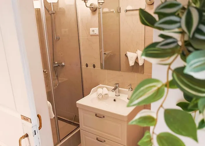 Loft Bed With Free Parking, 2 Bikes! Self Check In, Wi-fi, Ac * Pula